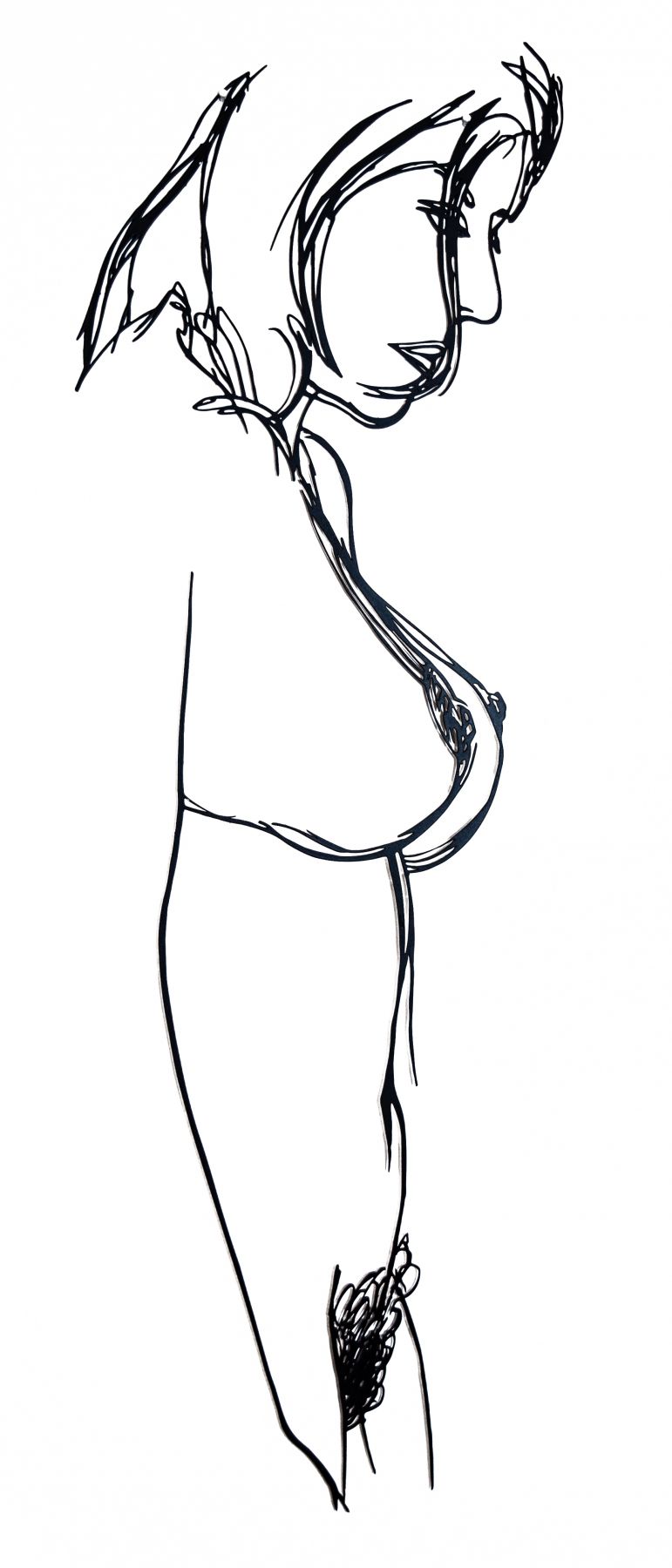 Wesselmann - Steelcuts artwork