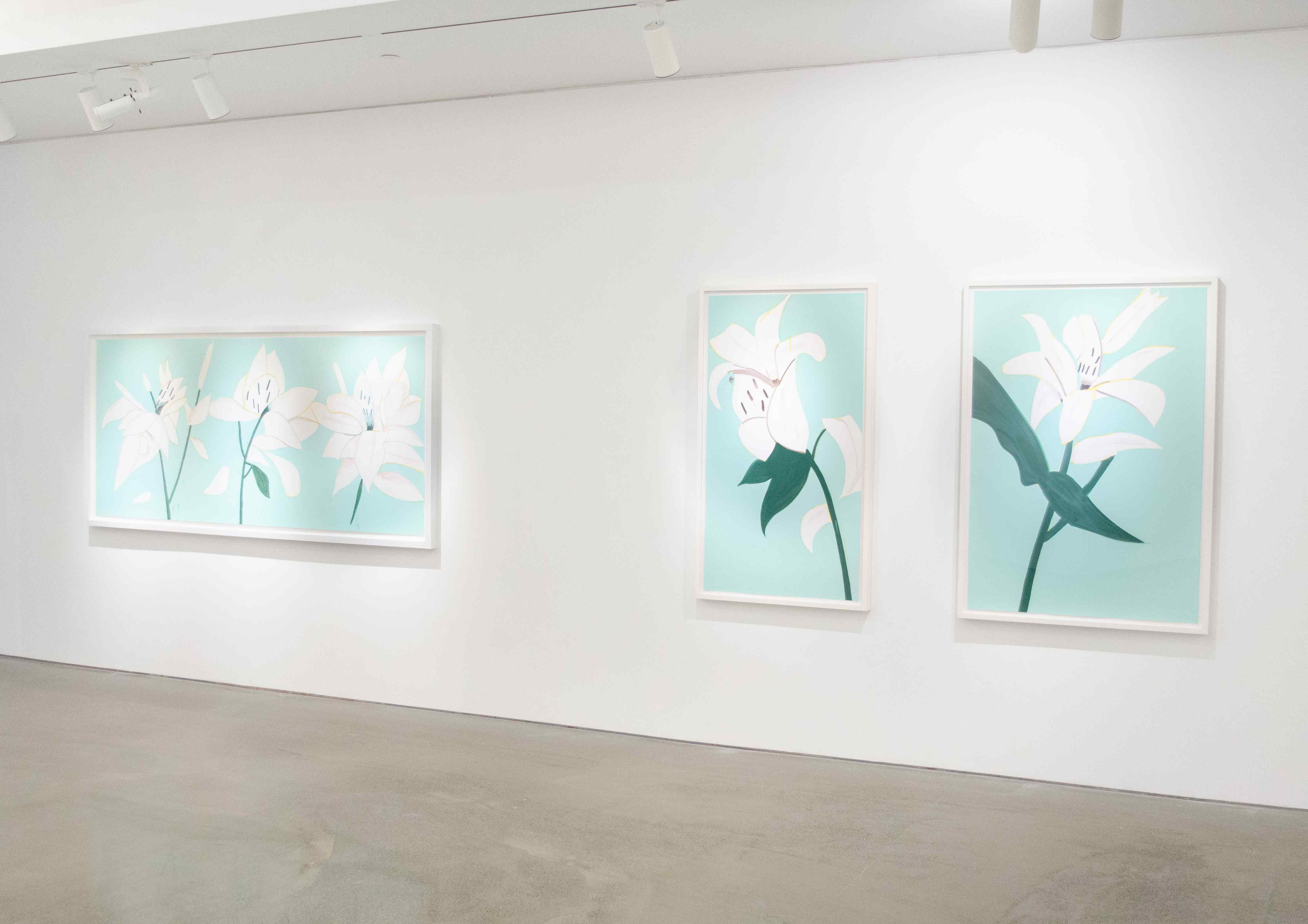 Exhibition View 5