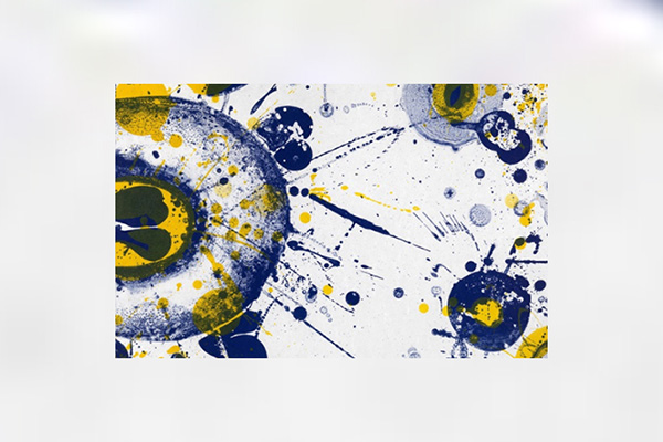 Sam Francis Artwork Image