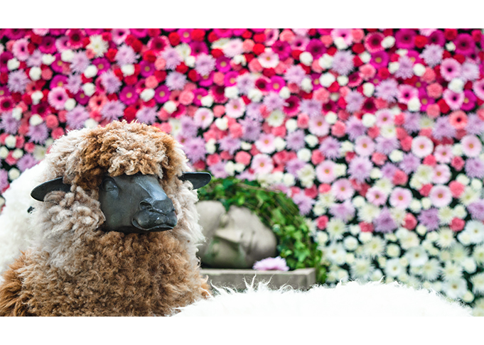 Gallery exhibition image